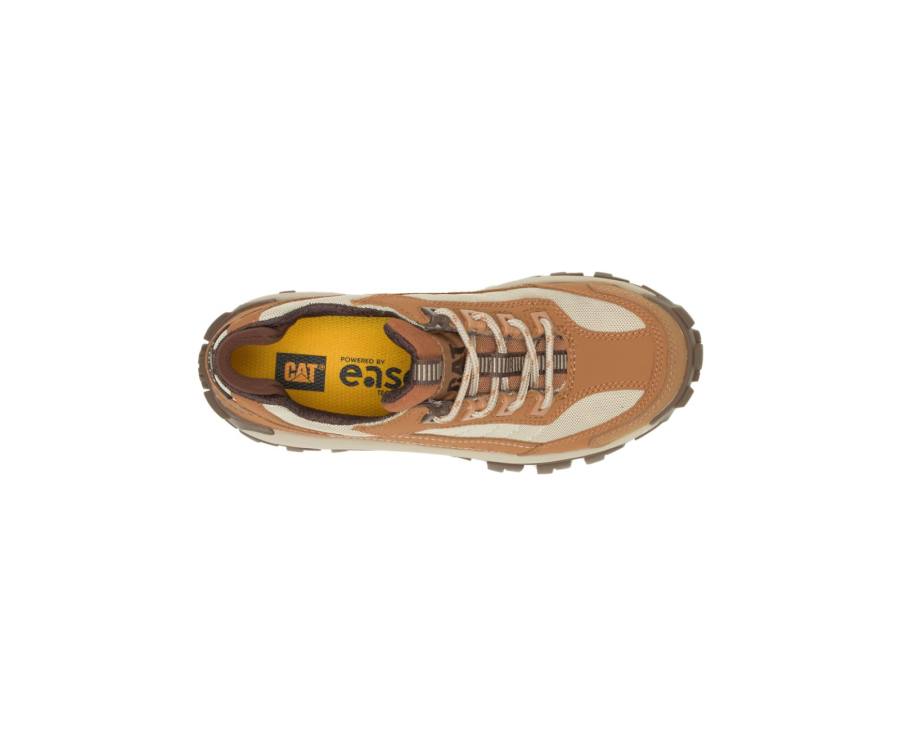 Brown / Brown Caterpillar CAT Invader Steel Toe Women's Work Shoes | CAT-748KO