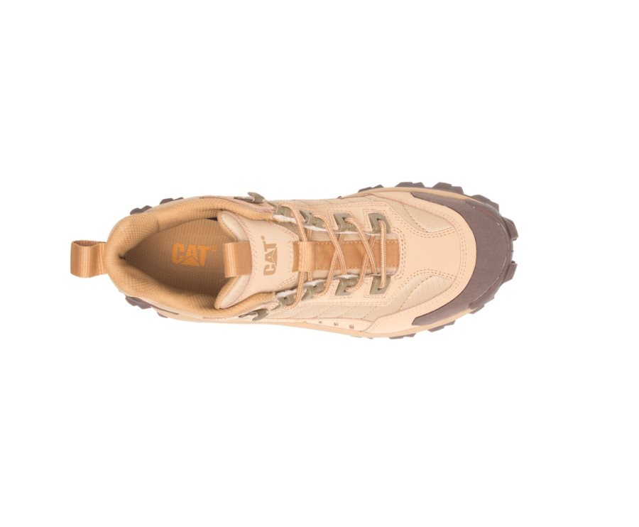 Brown Caterpillar CAT Intruder Mid Women's Sneakers | CAT-421CR