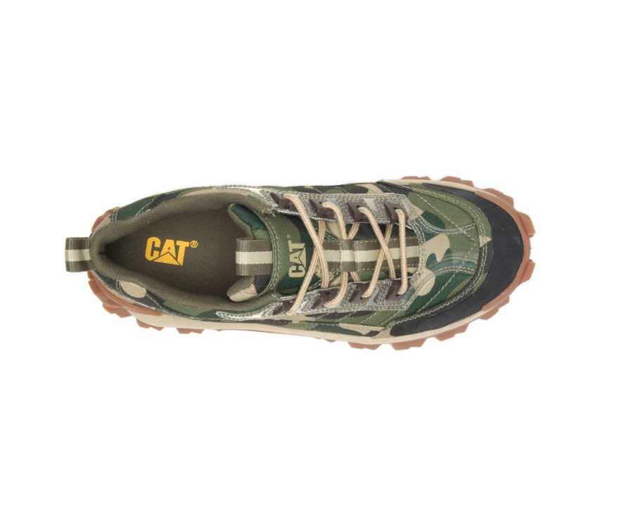 Camo Caterpillar CAT Intruder Shoe Men's Casual Shoes | CAT-019HG