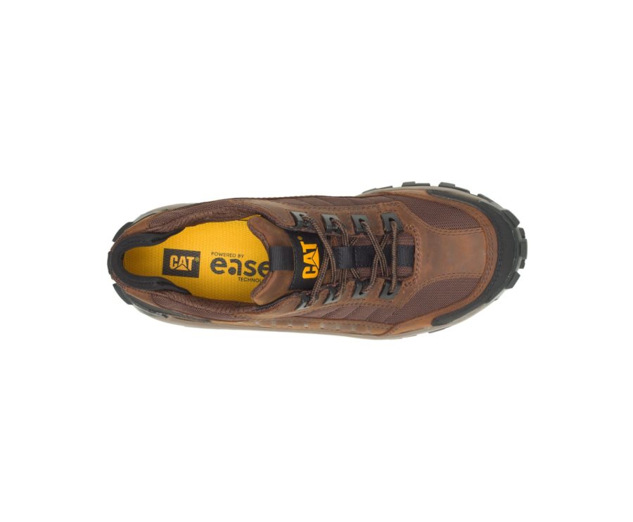 Dark Brown Caterpillar CAT Invader Steel Toe Men's Work Shoes | CAT-637UT